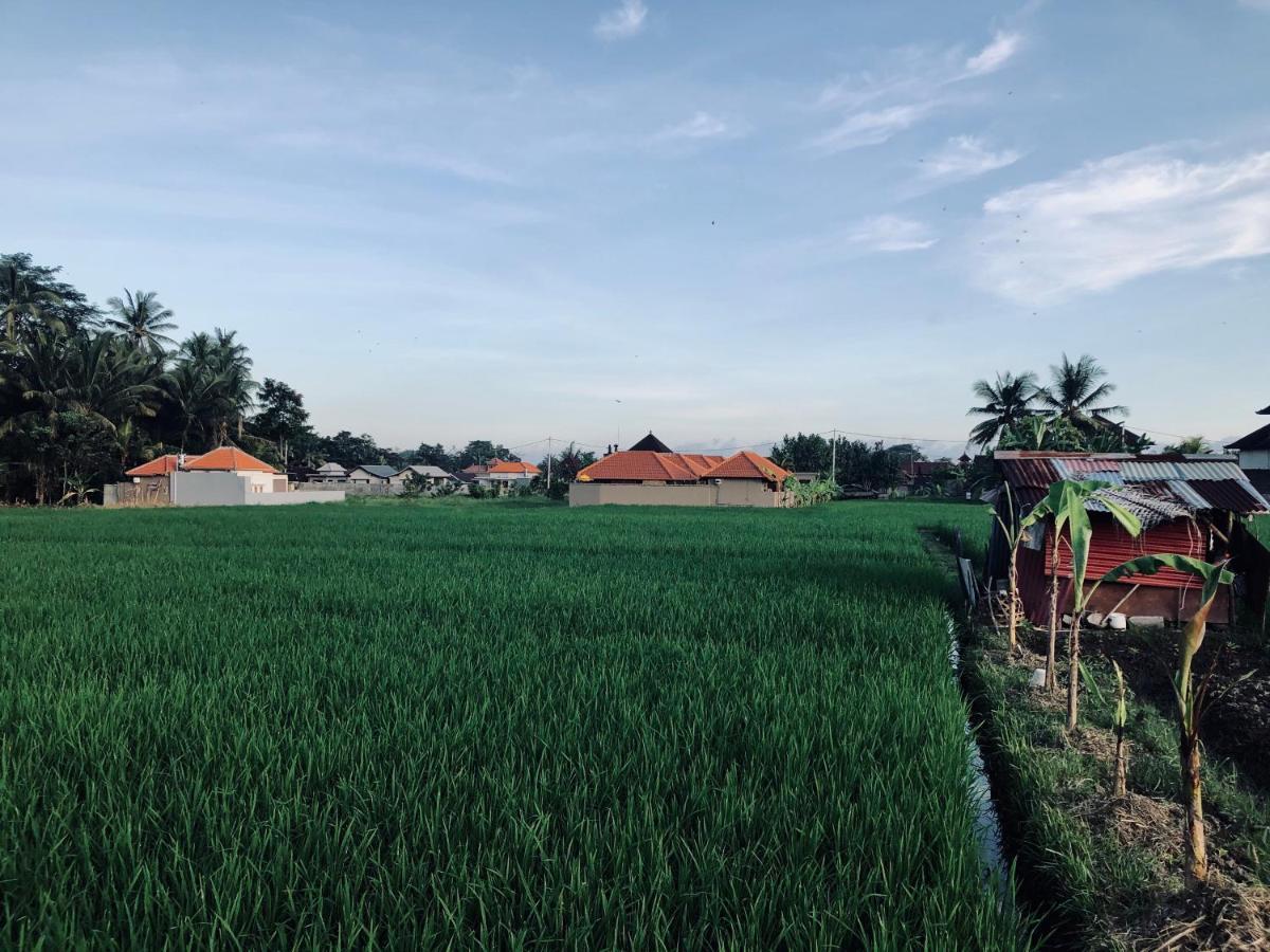 Umagama Villas Ubud  Exterior photo